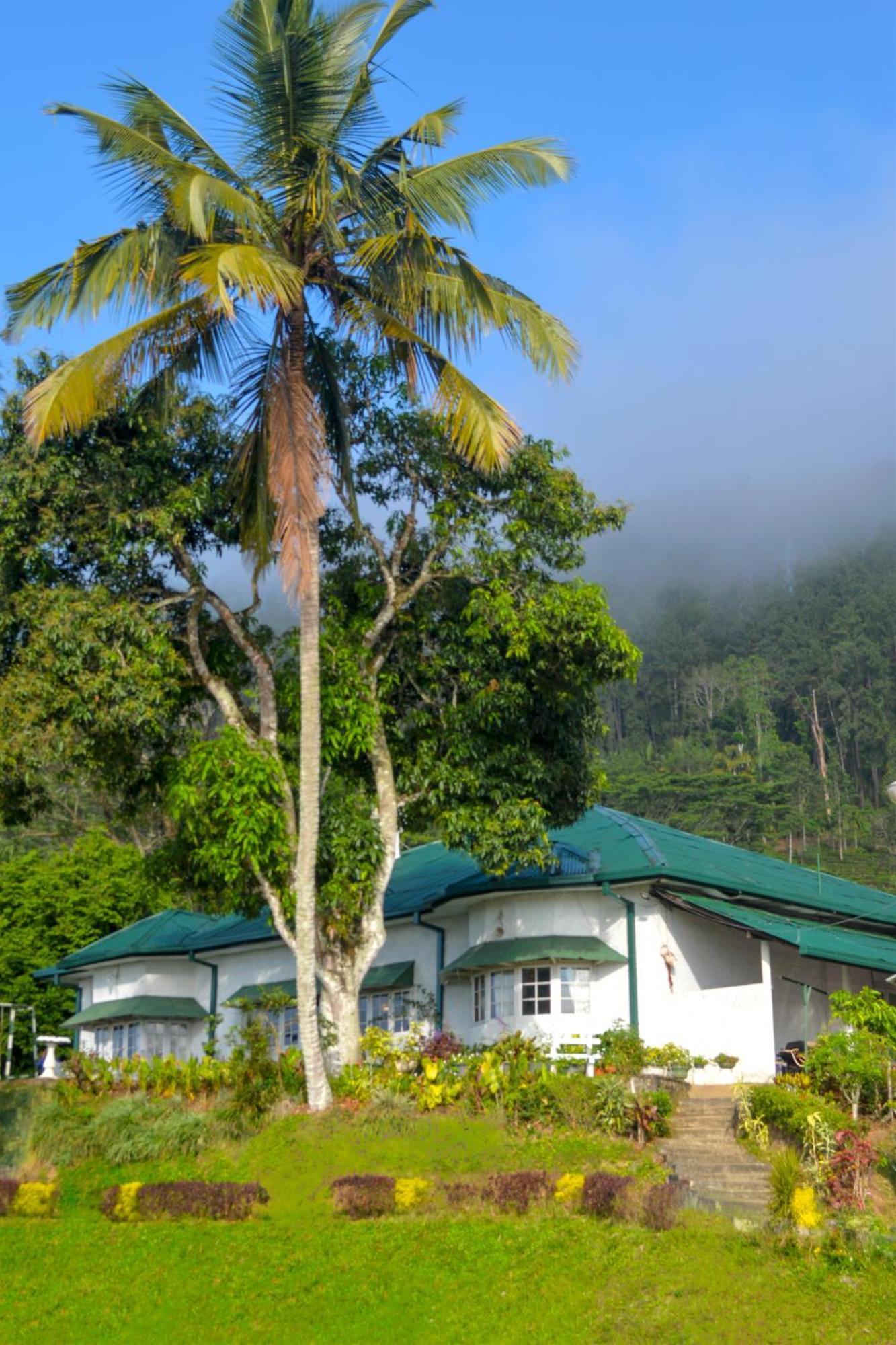 Hatale Tea Estate Bungalow Madulkele Exteriér fotografie