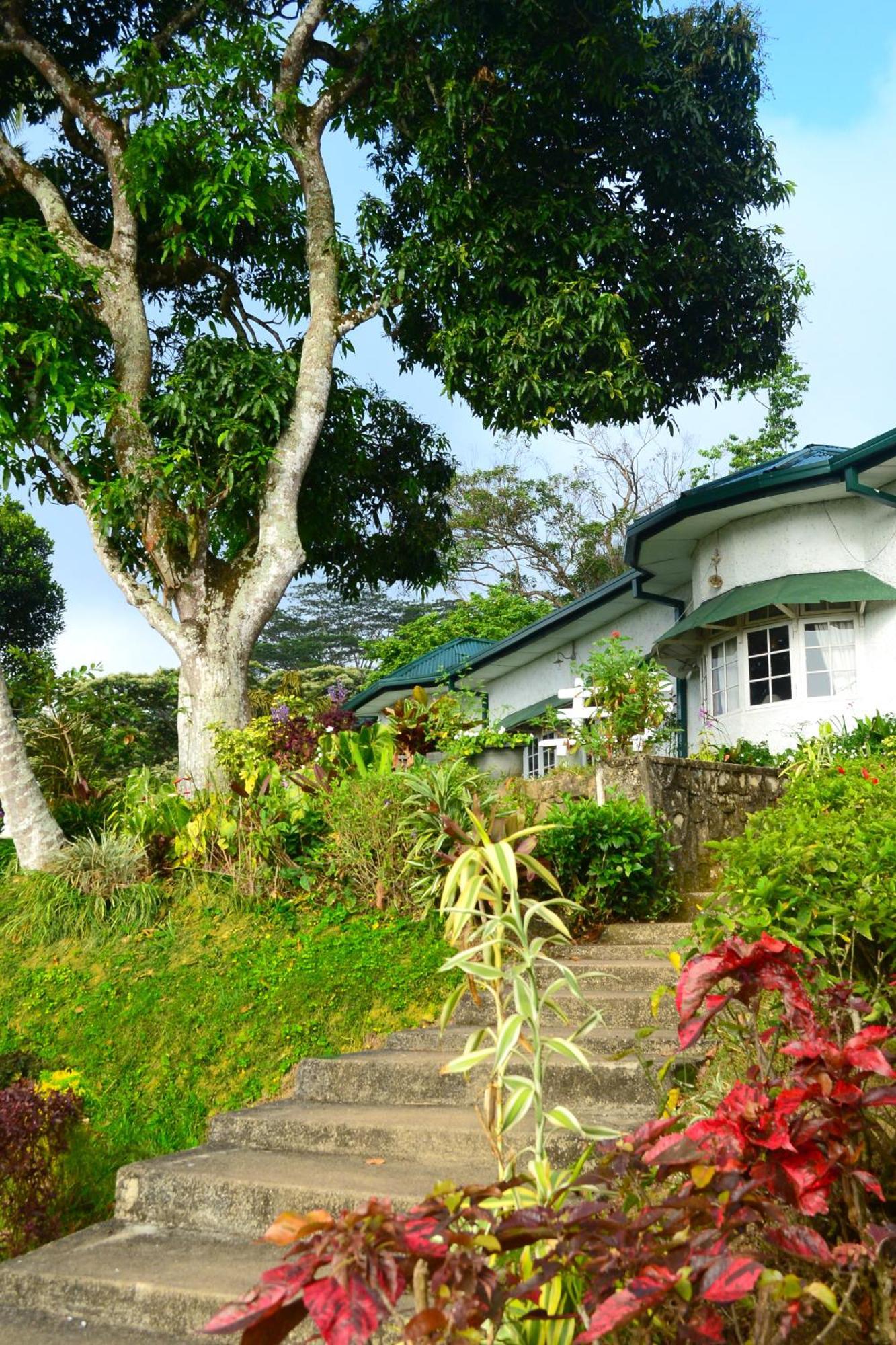Hatale Tea Estate Bungalow Madulkele Exteriér fotografie