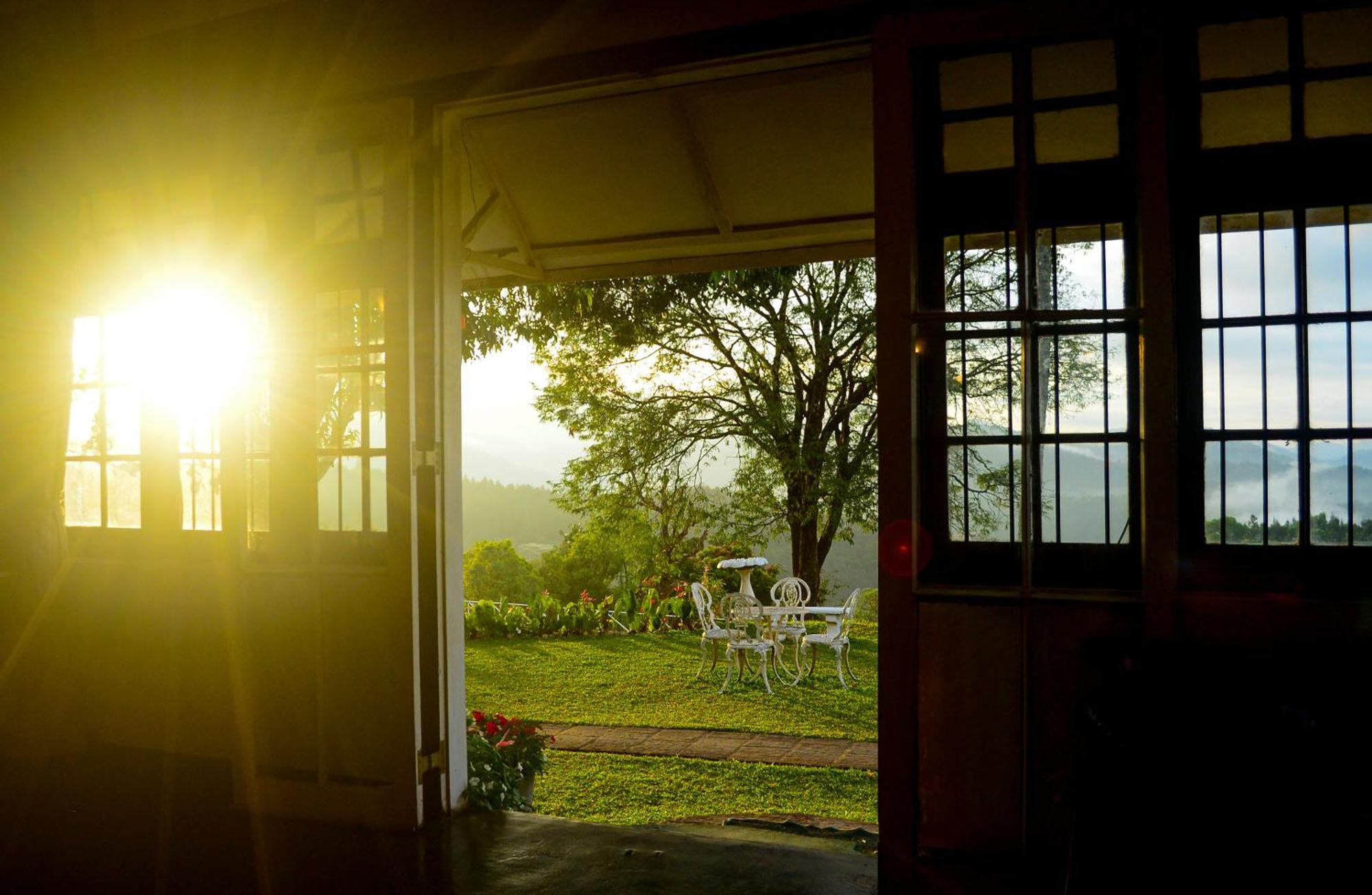 Hatale Tea Estate Bungalow Madulkele Exteriér fotografie